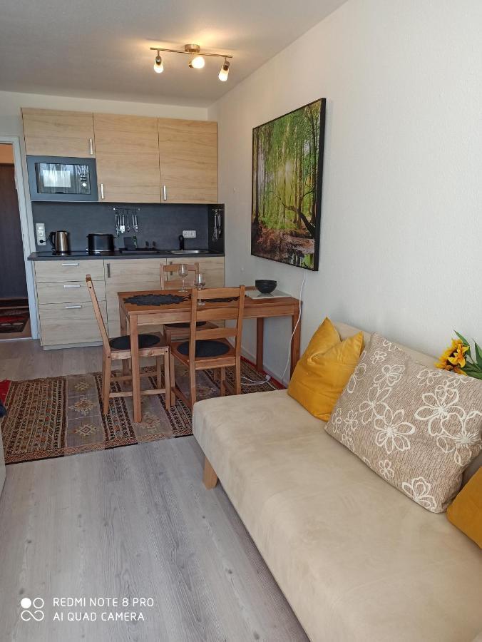 Berghof Studio Haus Rachel Mit Pool Sankt Englmar Buitenkant foto